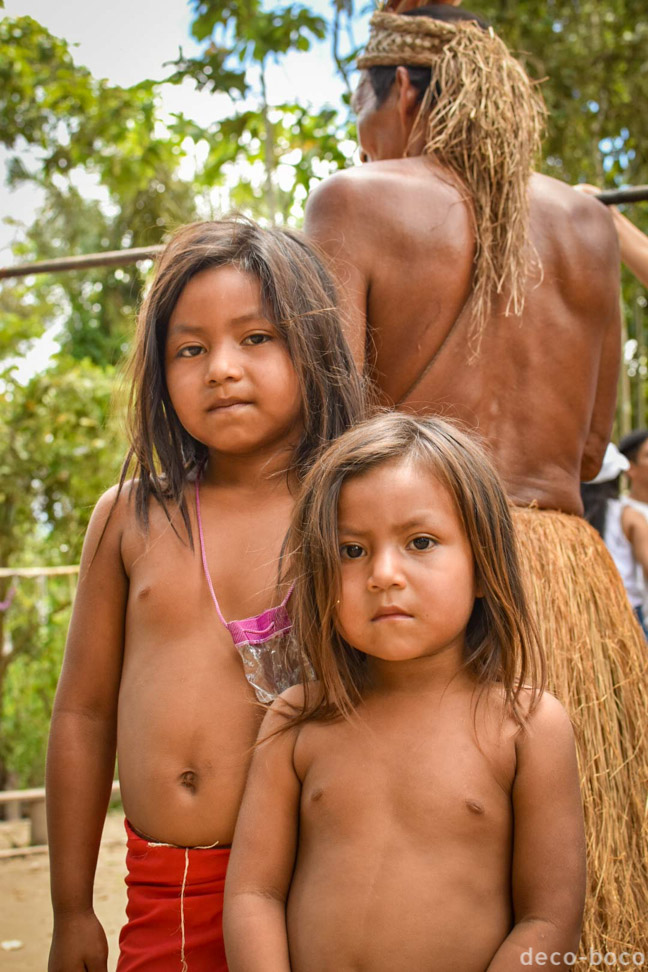 アマゾン　シピポ族